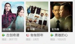 手机电视剧在线观看网,手机电视剧在线观看网站深度解析